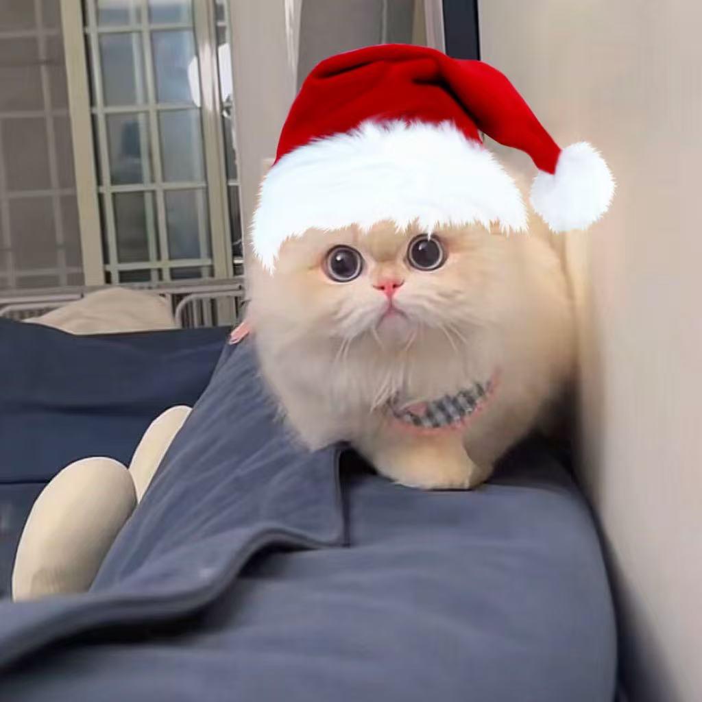 愚蠢的狐狸🦊尼克