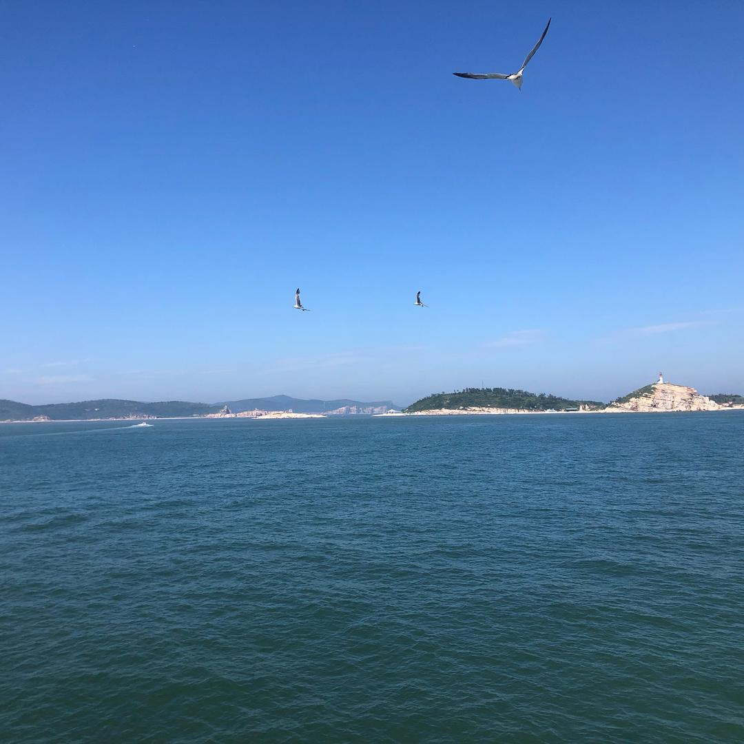 小花匠