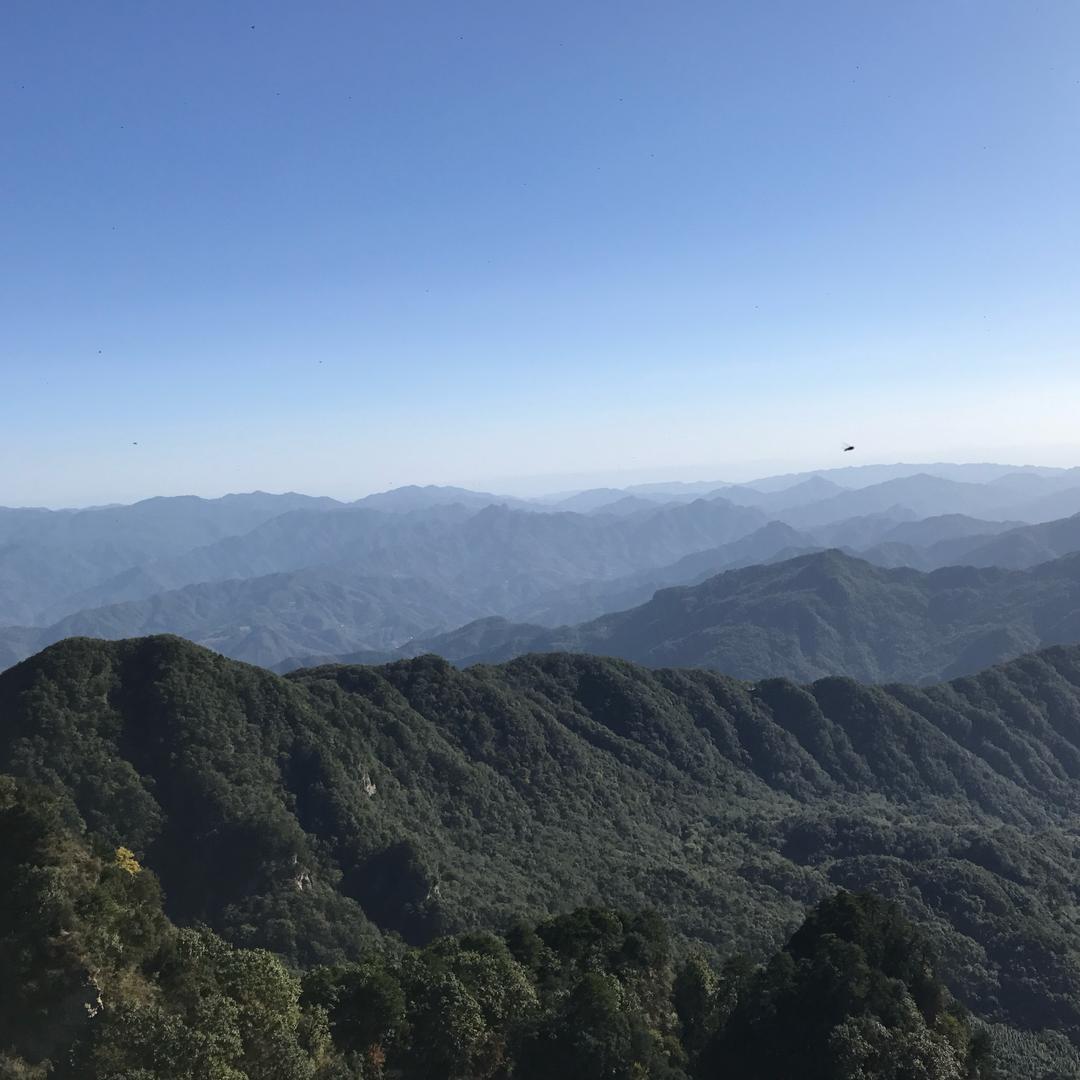 胜哥老G(舍与得)