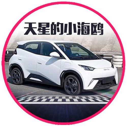天星的小海鸥