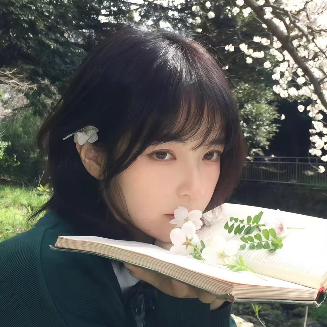 一只绵羊🐑