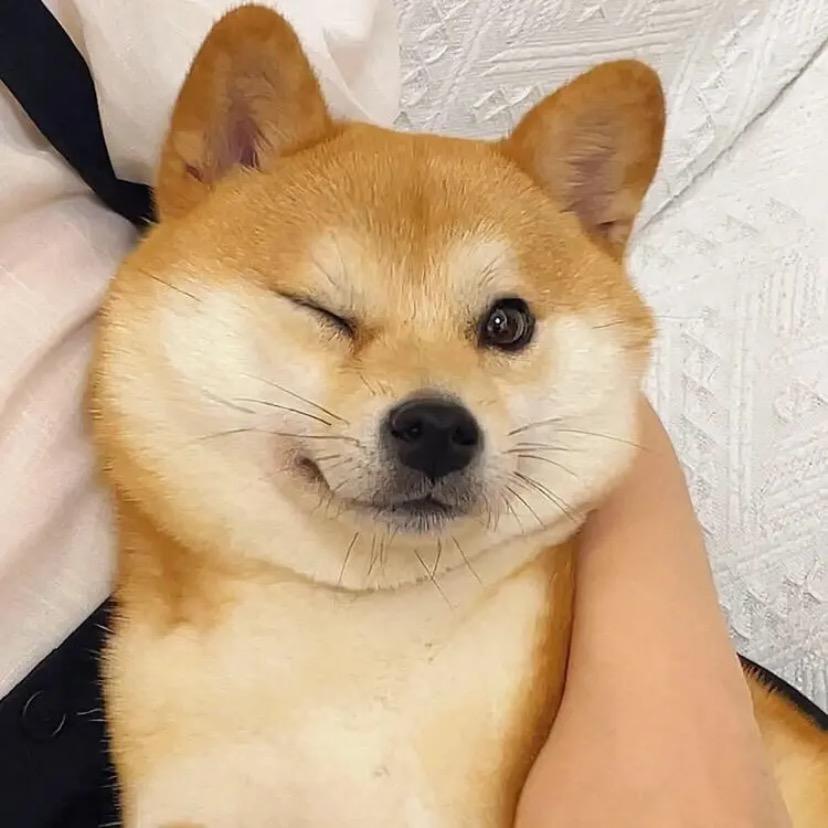 今天你笑了吗？