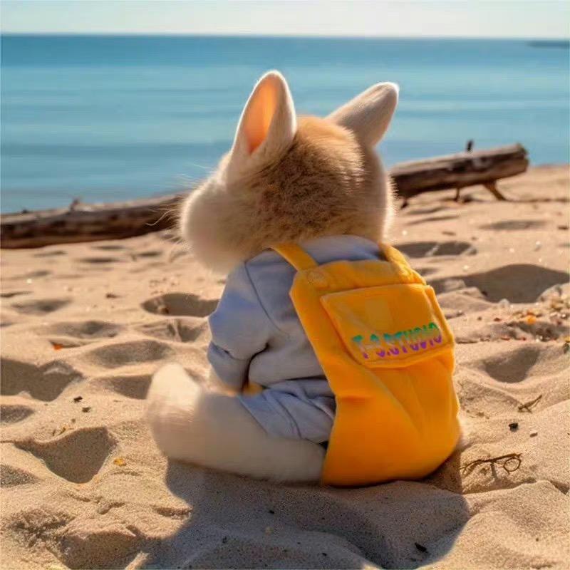 社会的边角料🍊