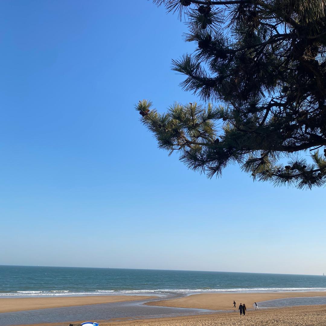 日照与海•民宿