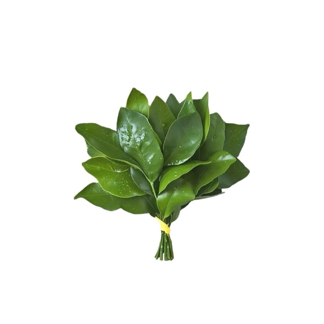 溜溜l.