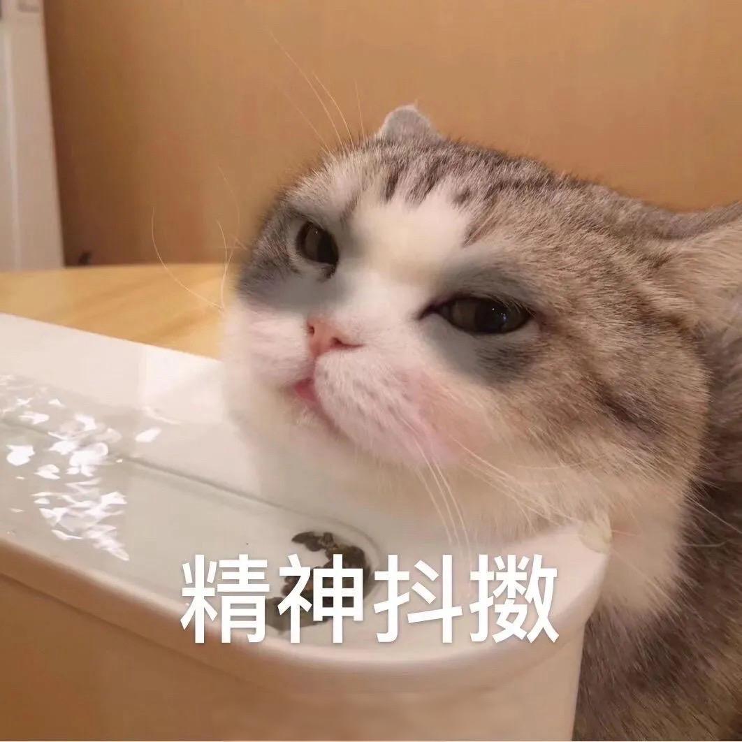 刚正不阿邢Eason