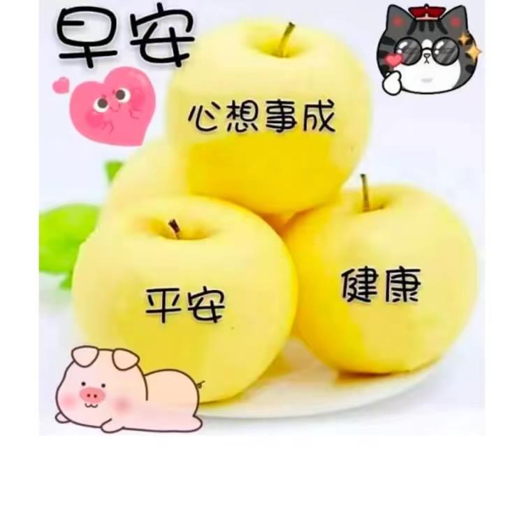 黔匀农品铺（金总）