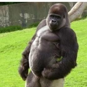 给排水-（抖音创业）