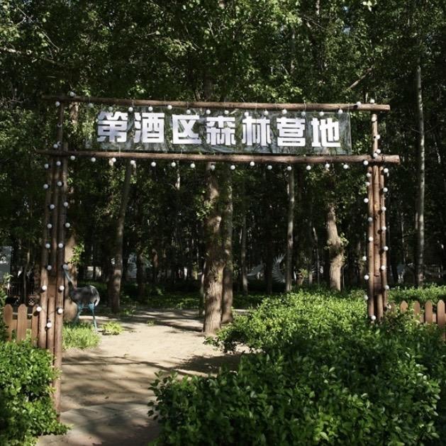 第酒区城市森林营地·小助理