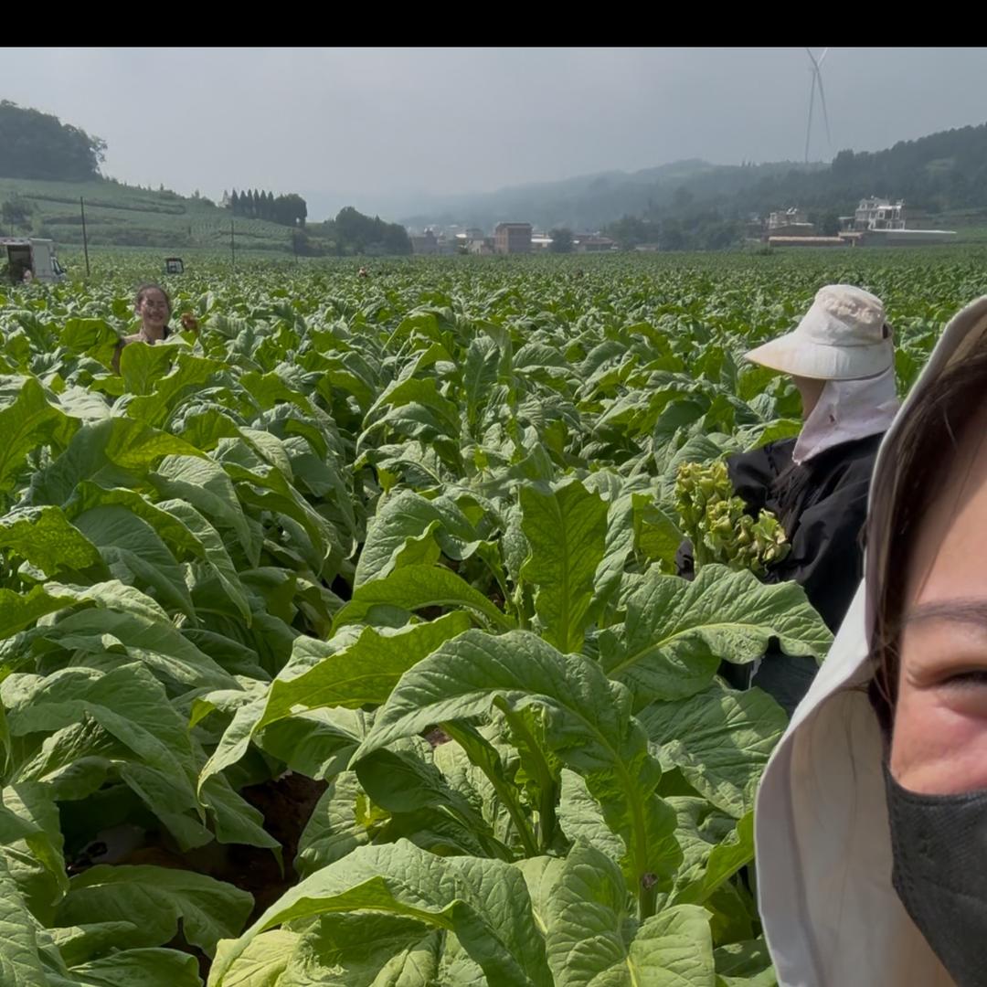 云南三咔咔《公益助农记》