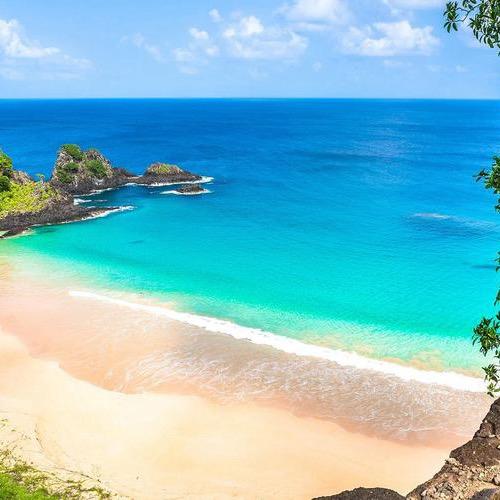 好东西都想分享给你