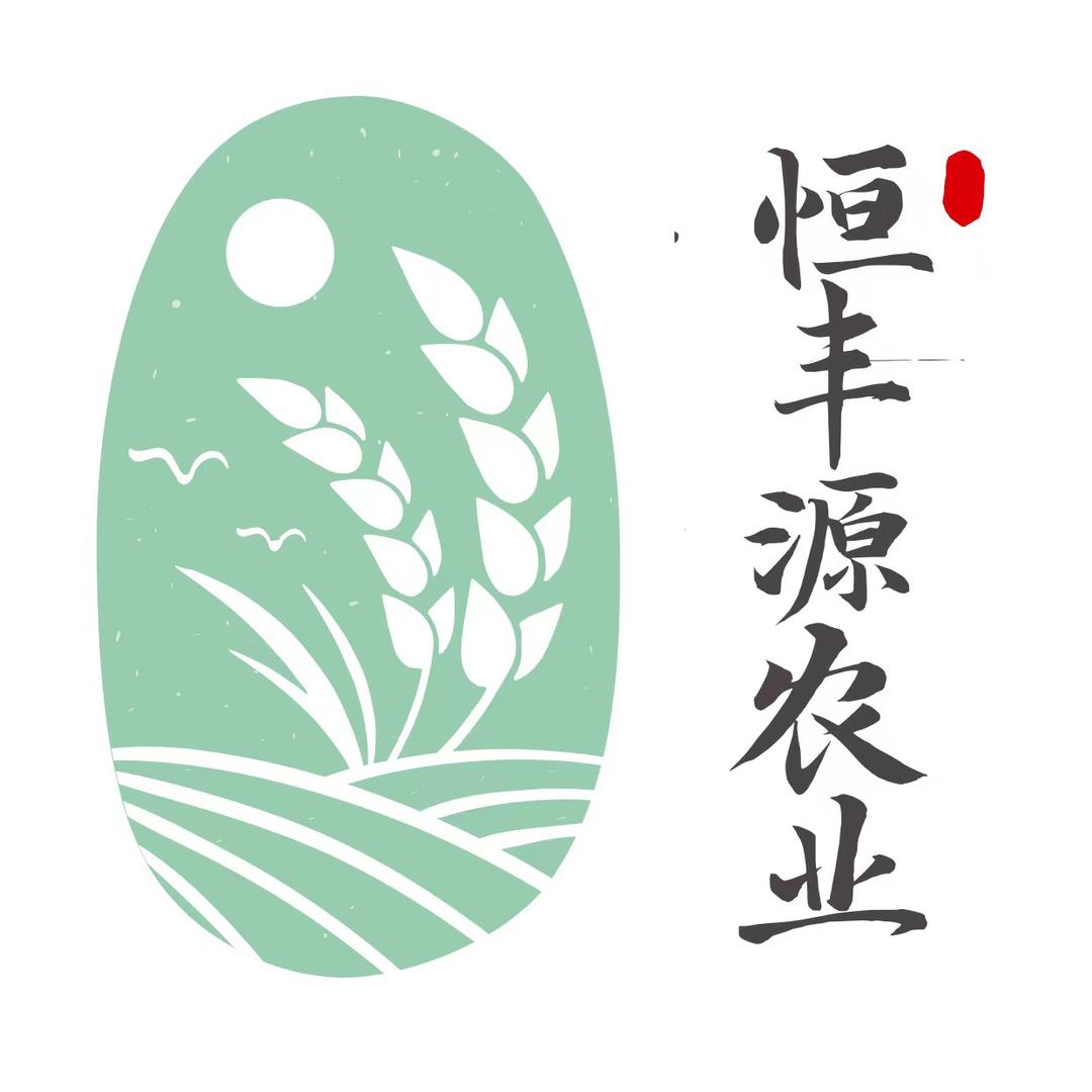 恒丰源乔敏