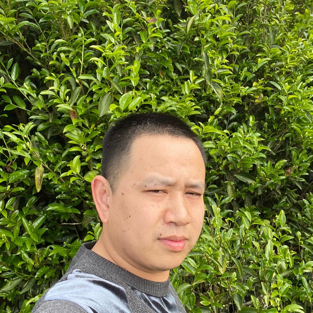 凤凰茶社