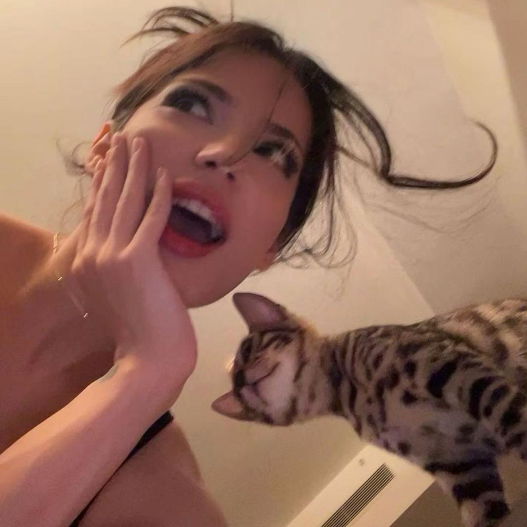 丰 丰 .