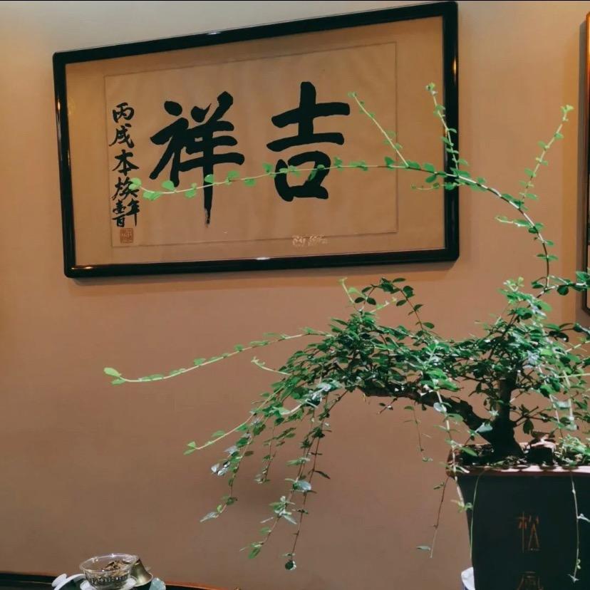 ㊣老茶客㊣