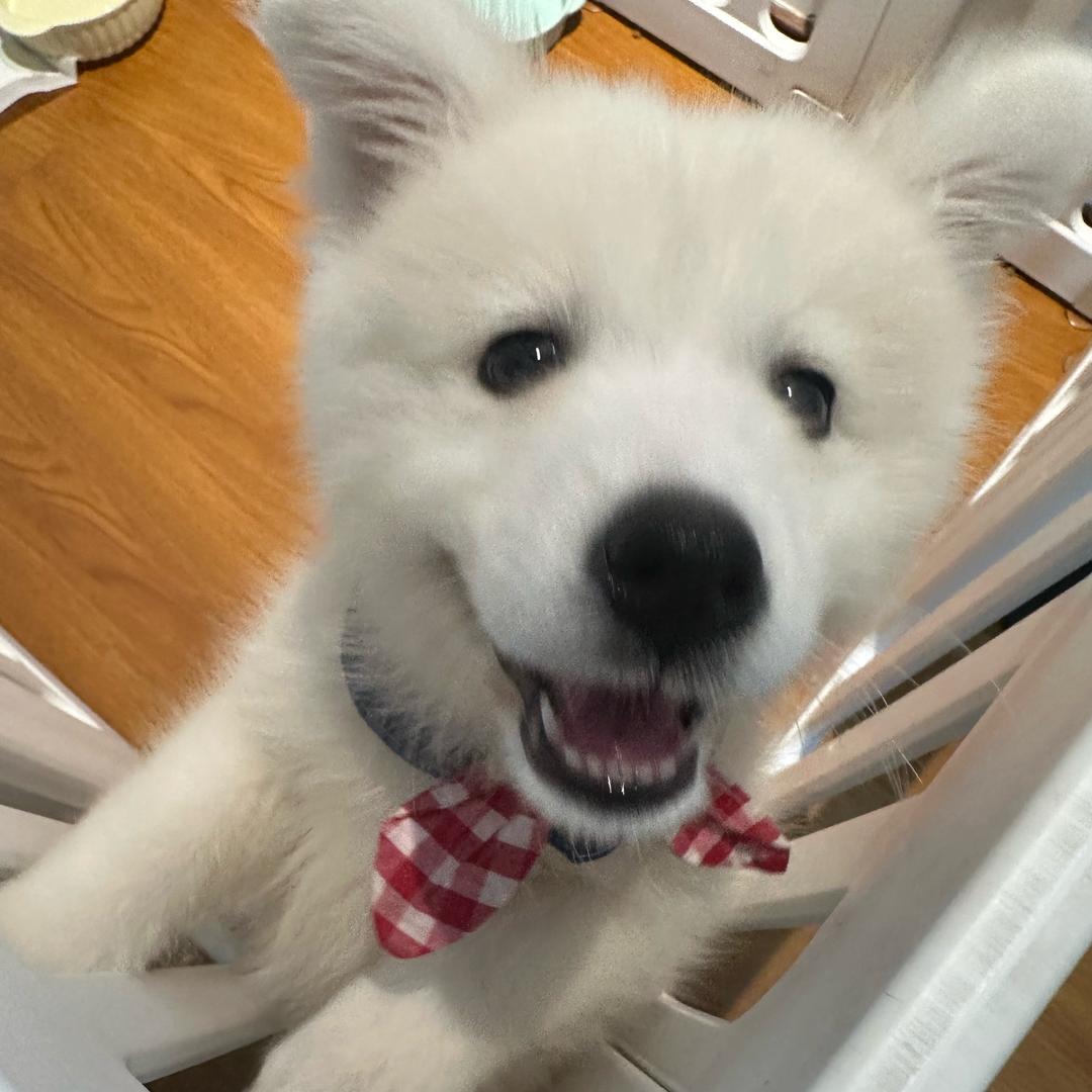 把幸运揣进兜里