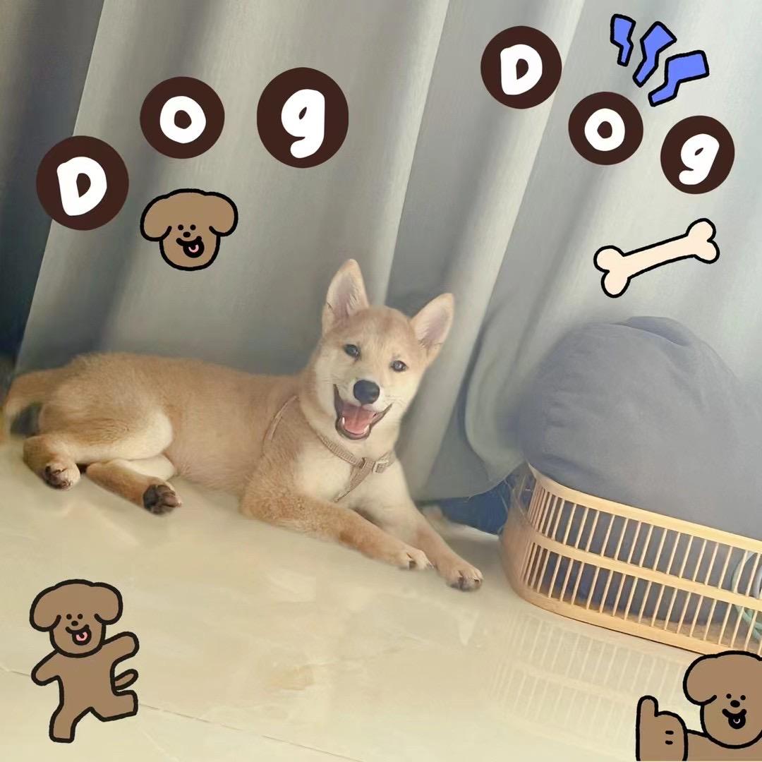 三石