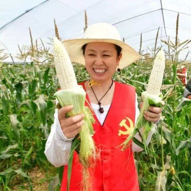 长宁儿女
