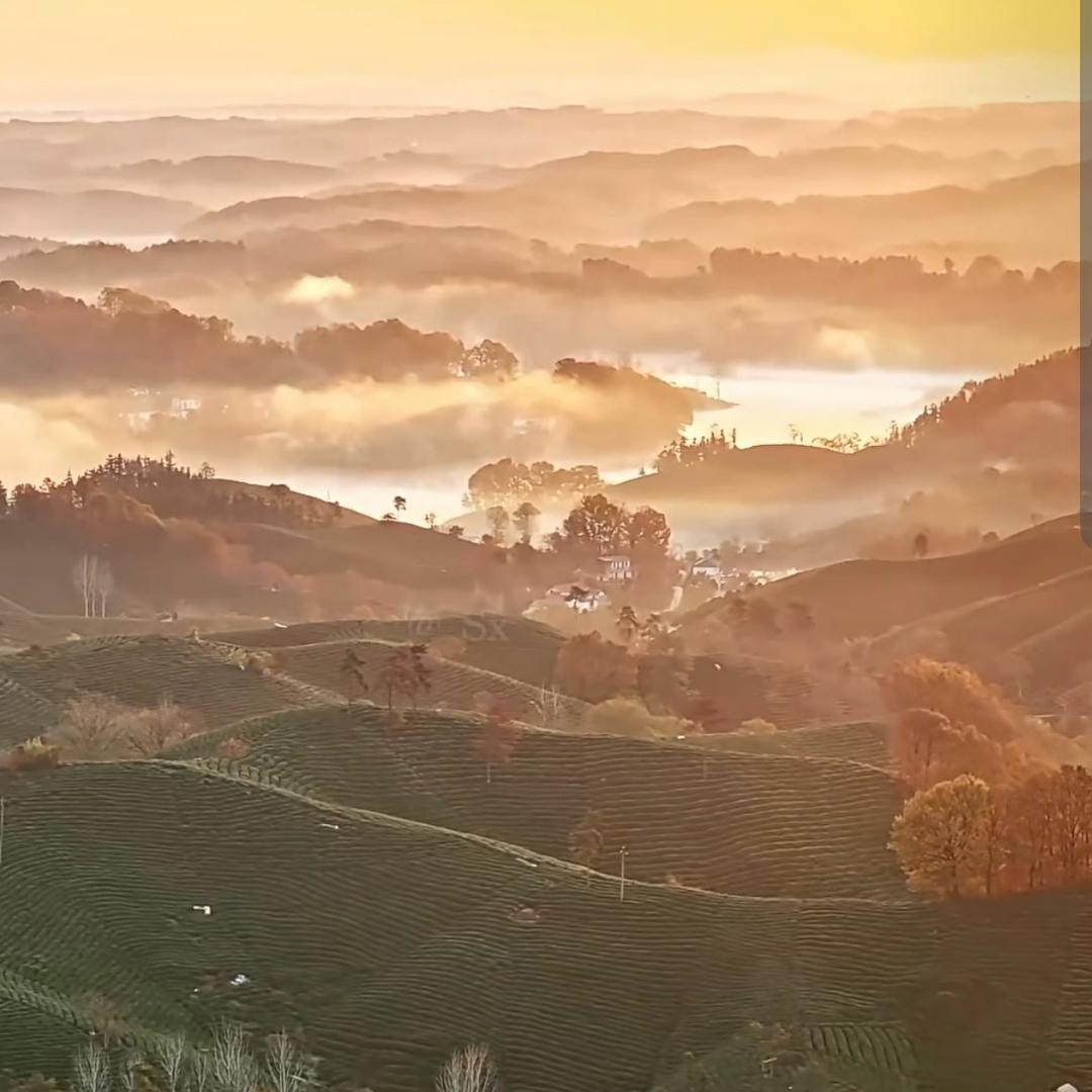 ㅤㅤㅤㅤㅤㅤㅤㅤ ㅤㅤㅤㅤㅤㅤㅤ