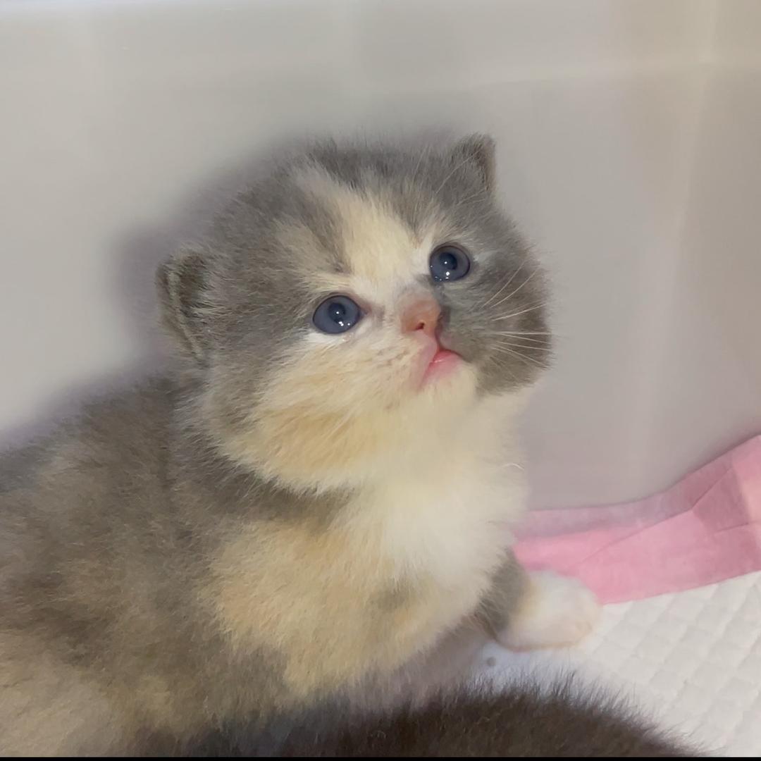 余干小乖（找🏠版）