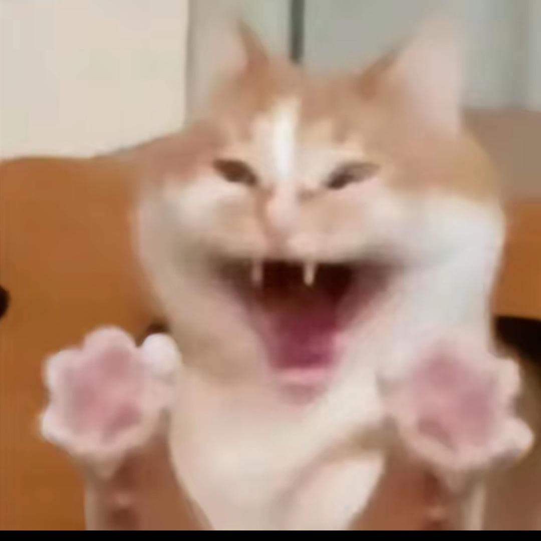 心碎小帕