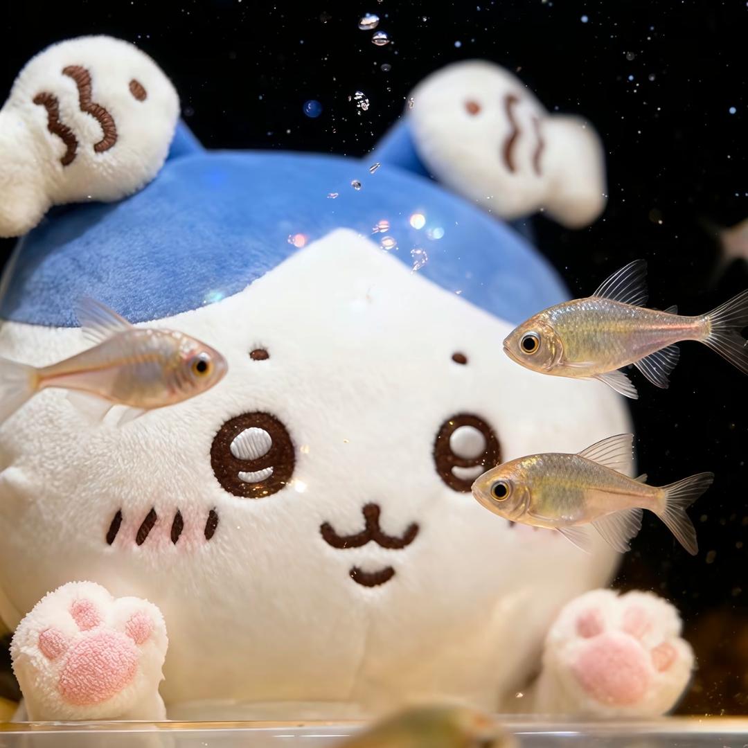 波波ovo