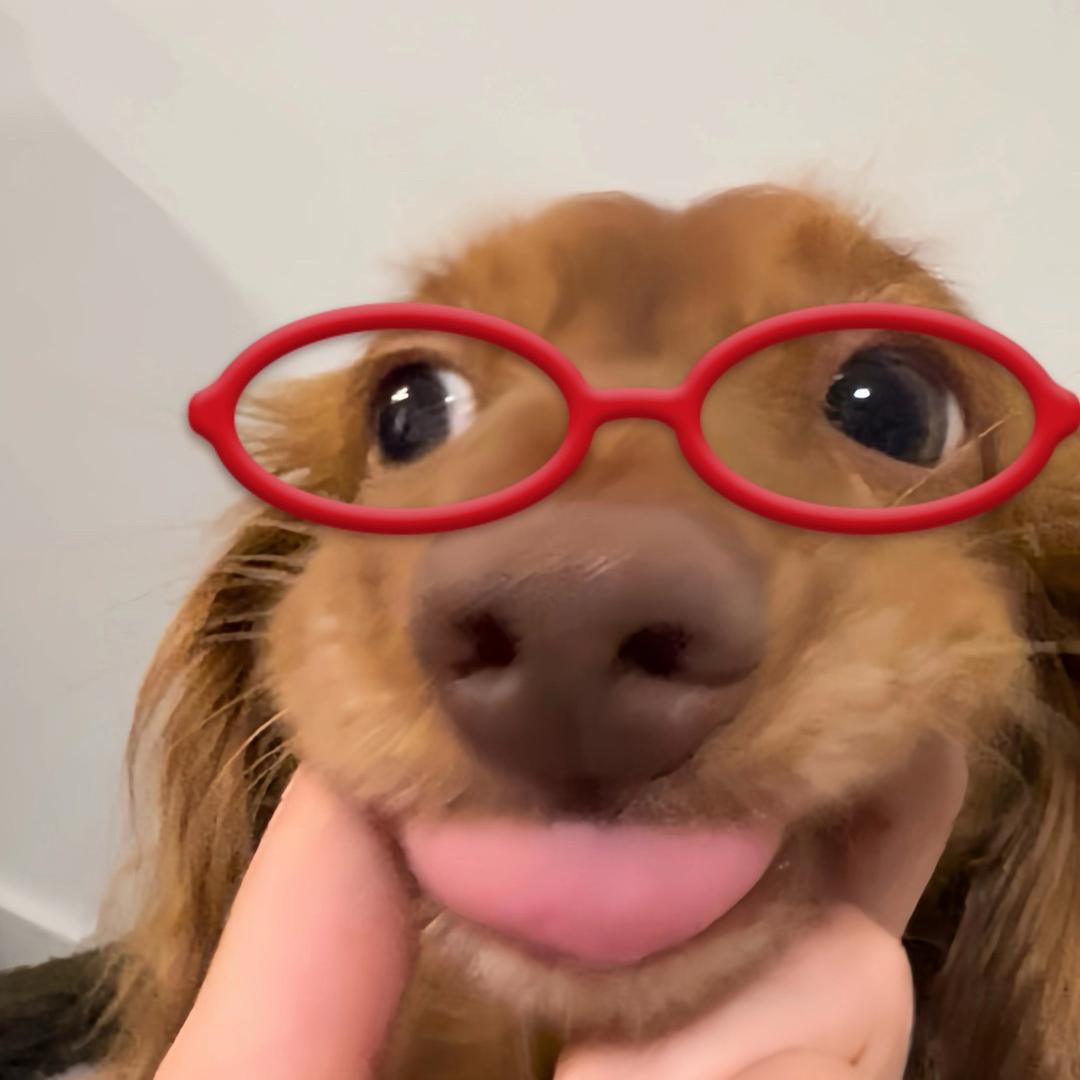 呆