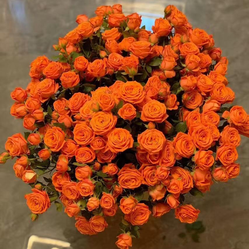 斗南鲜花（芭比哥）