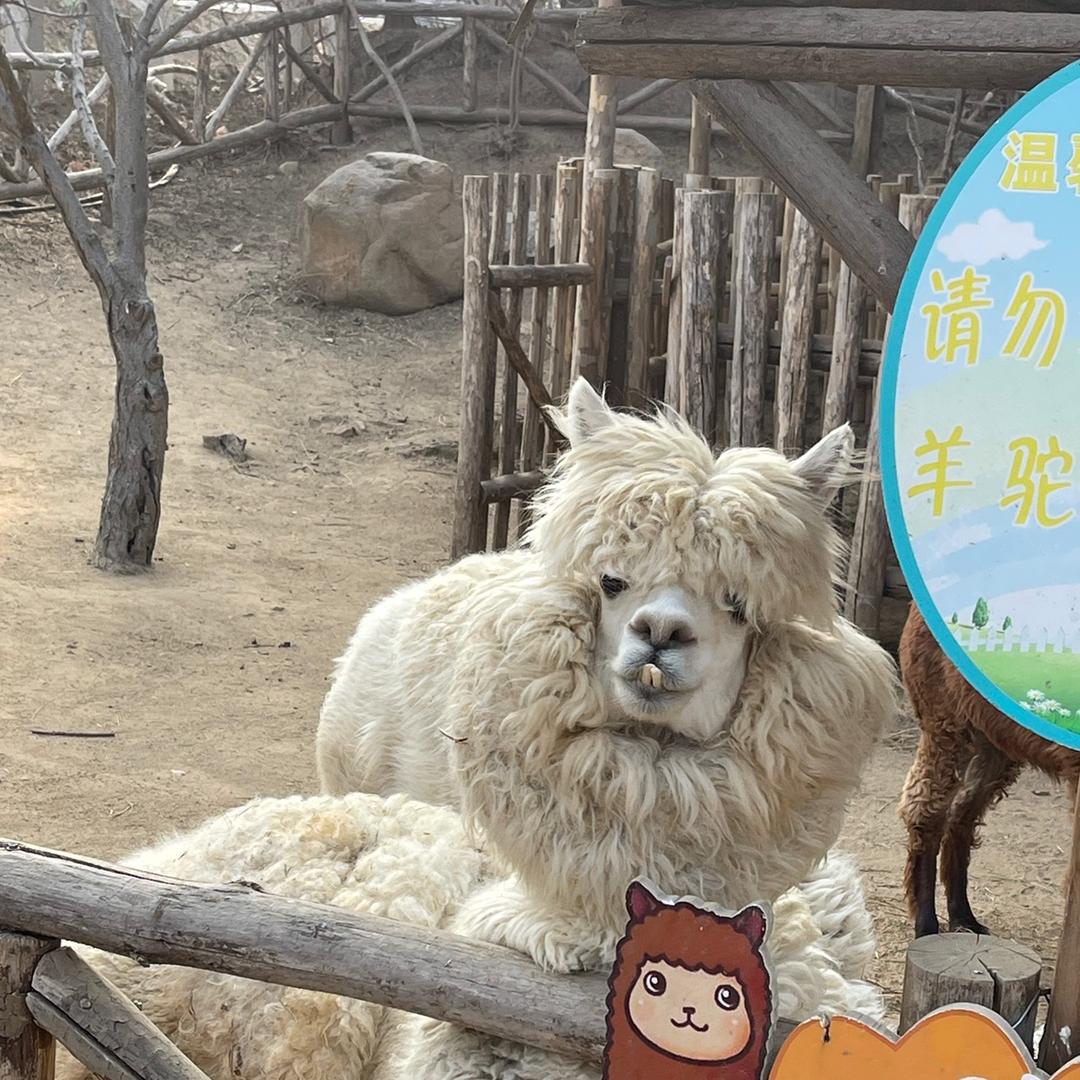 我脚不臭
