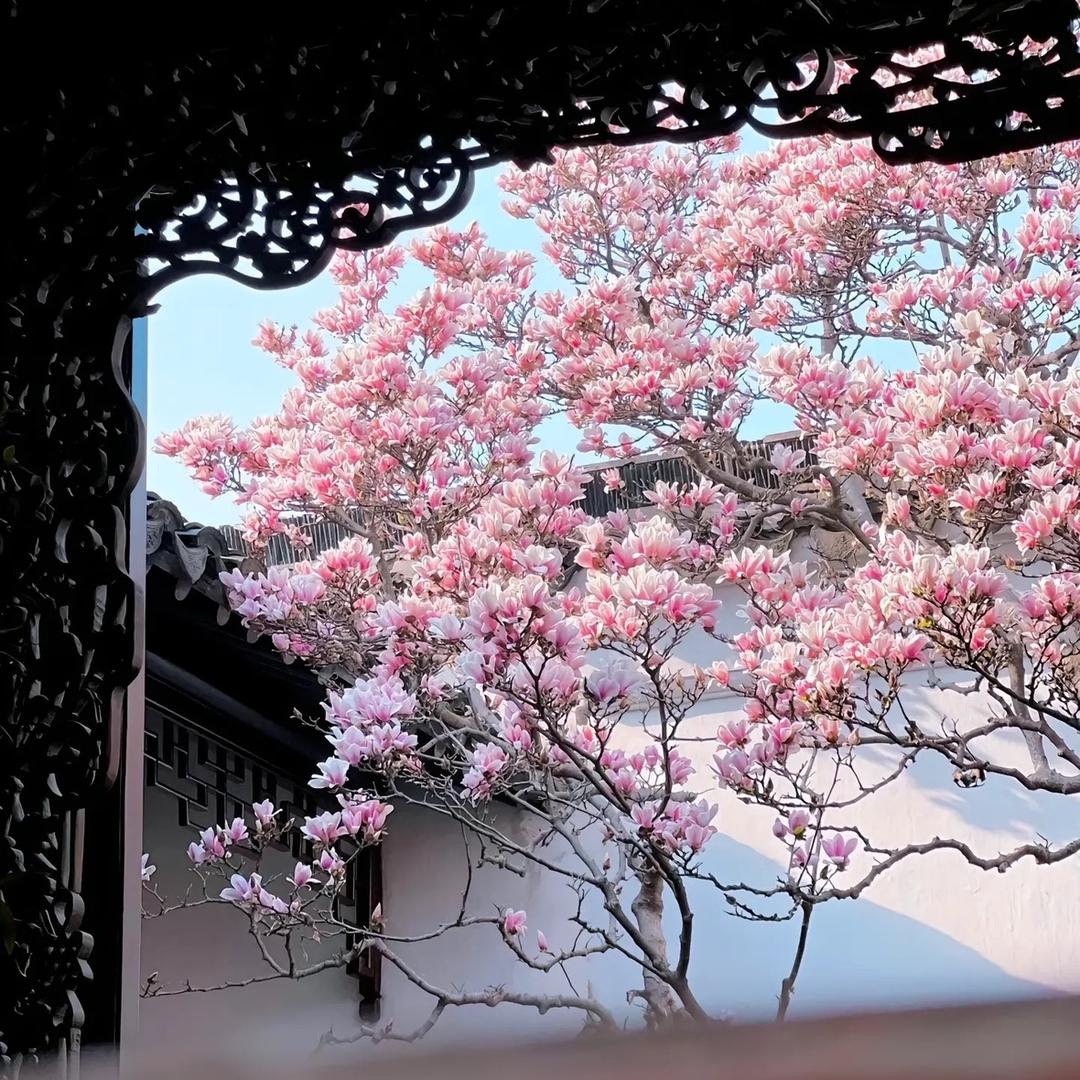 高彪强