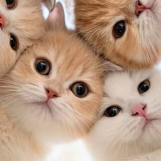 一朵小云好物推荐