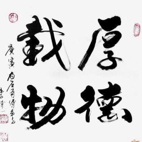 平锅鱼网创