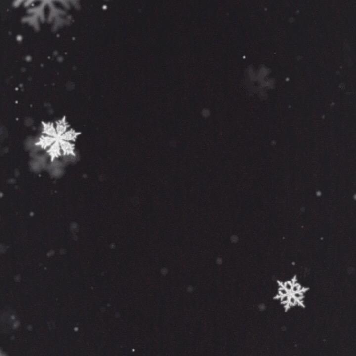 生生世世