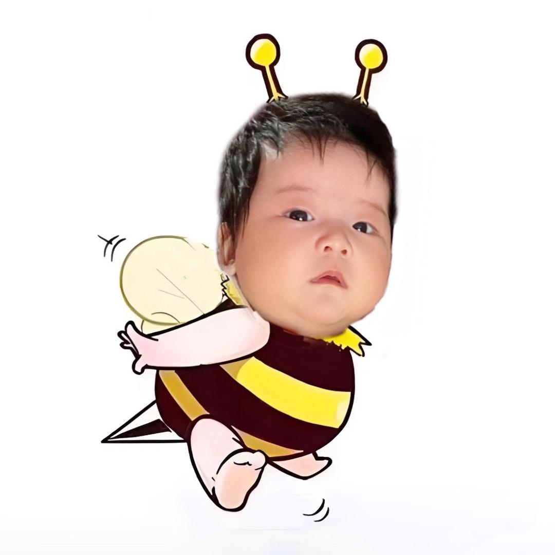 我有一颗小苹果