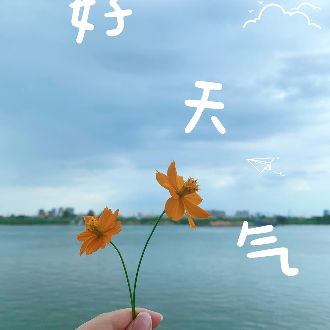 初秋De格子