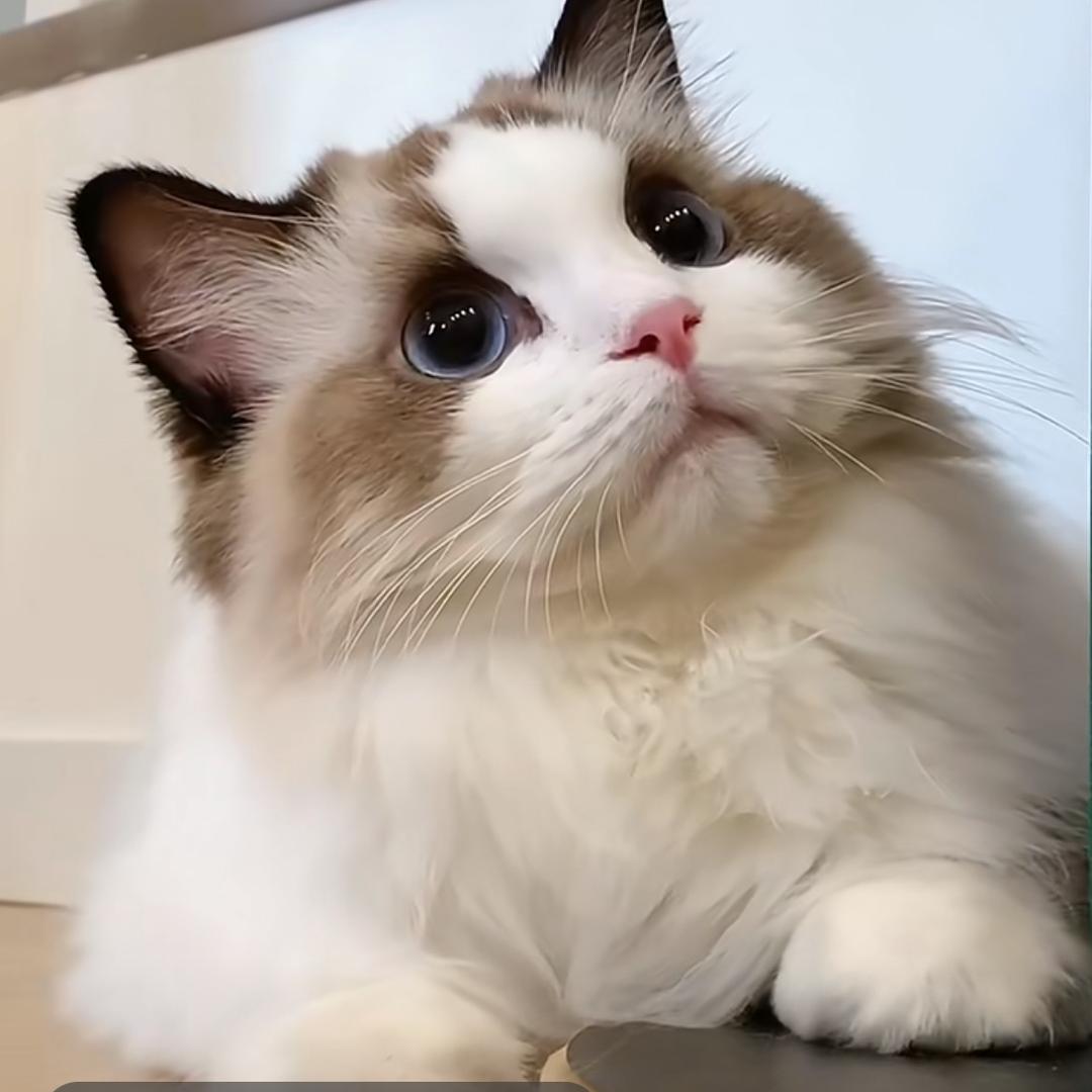 简法全案设计