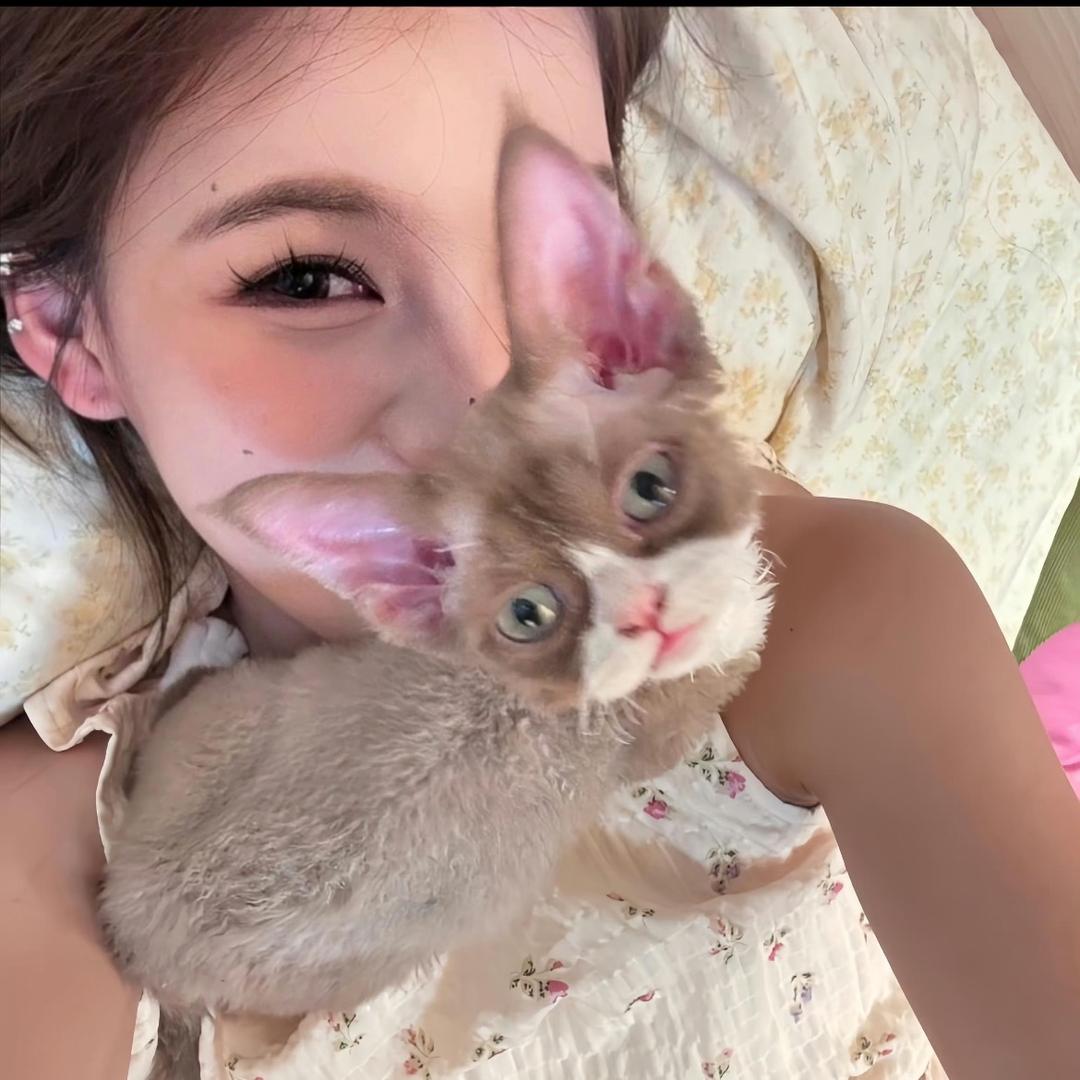 ᥫᩣ.