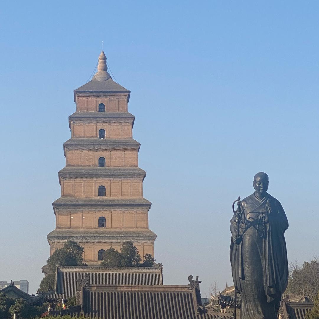 皮皮熊
