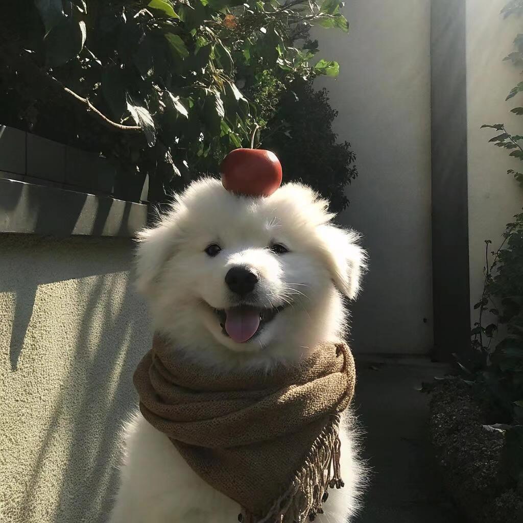 离时
