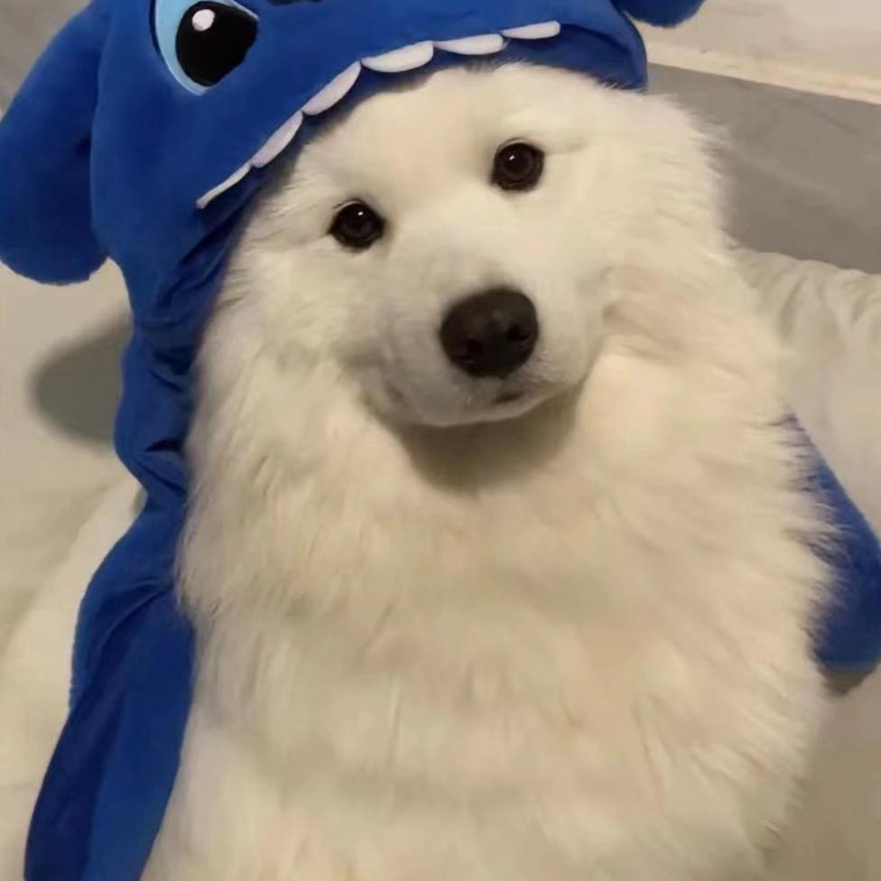 璐璐