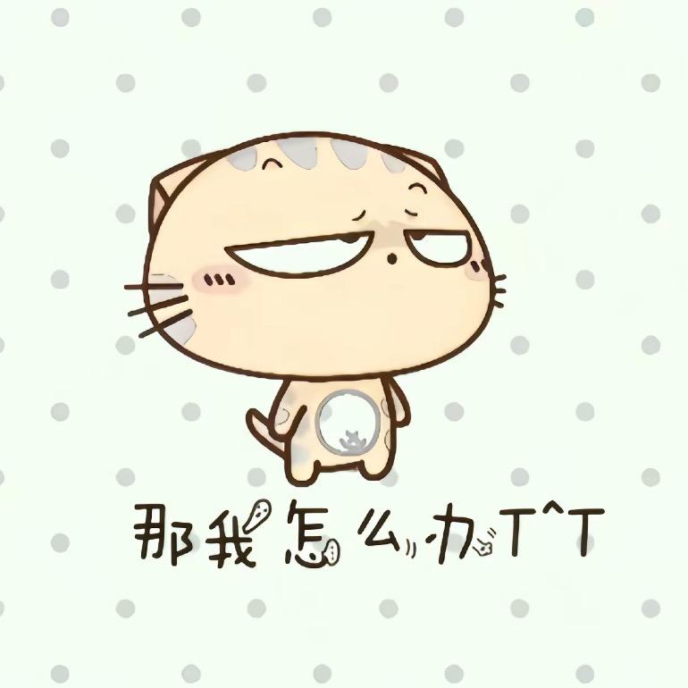 那又如何呢