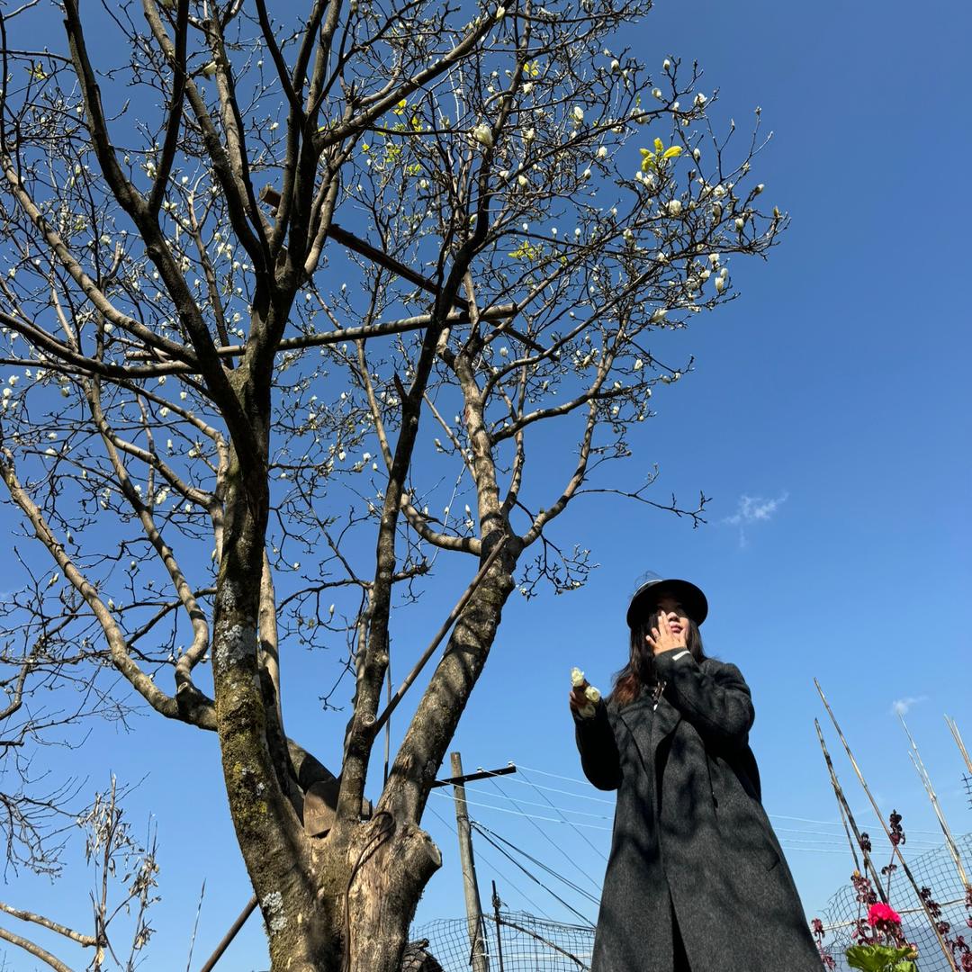 四喜茶铺普洱茶