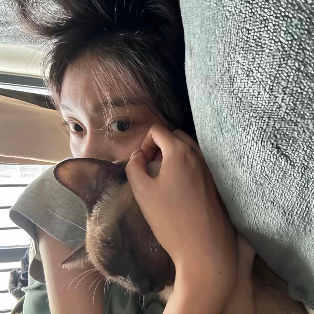 烫手的冰.zᶻ