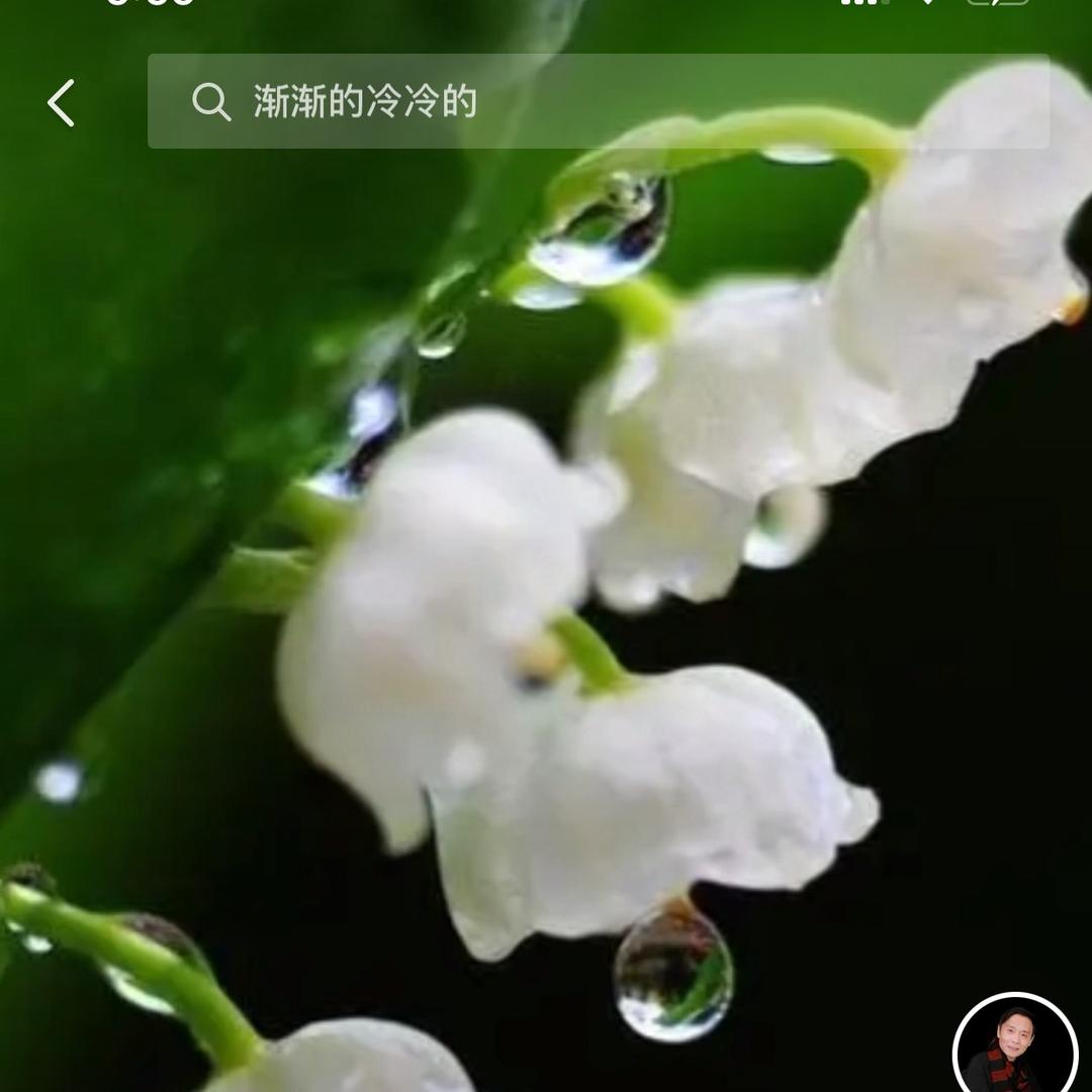 陌语