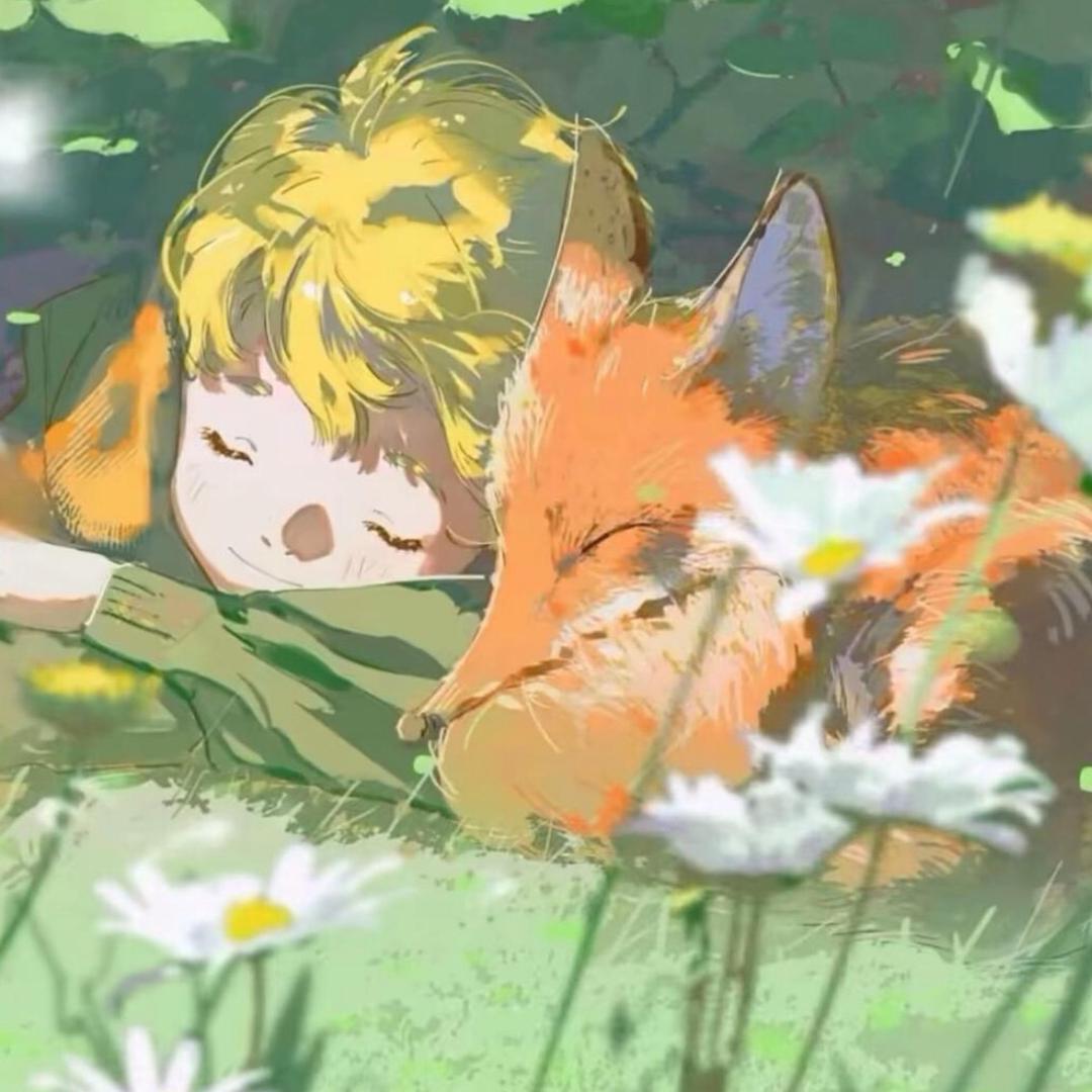 随投艾米有好物