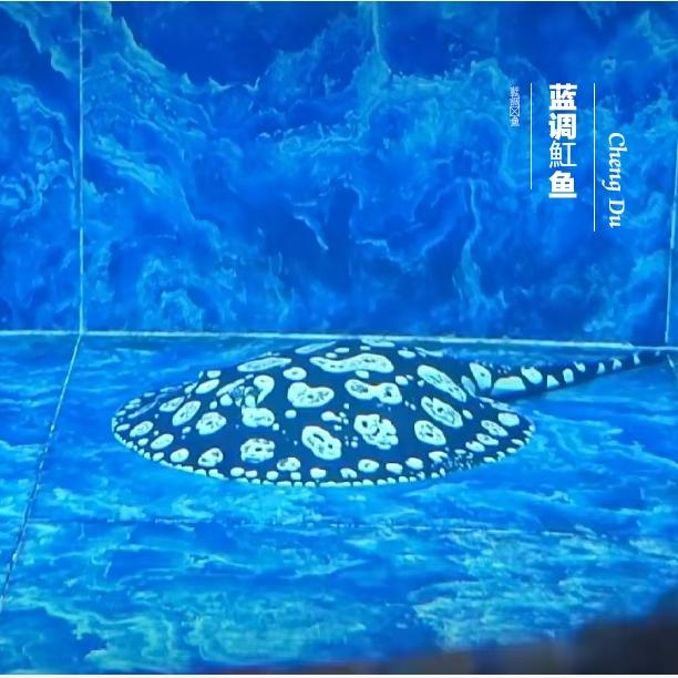 蓝调魟鱼波涛观赏鱼店