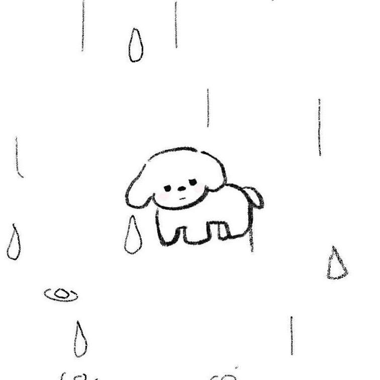 雨中失落的小狗