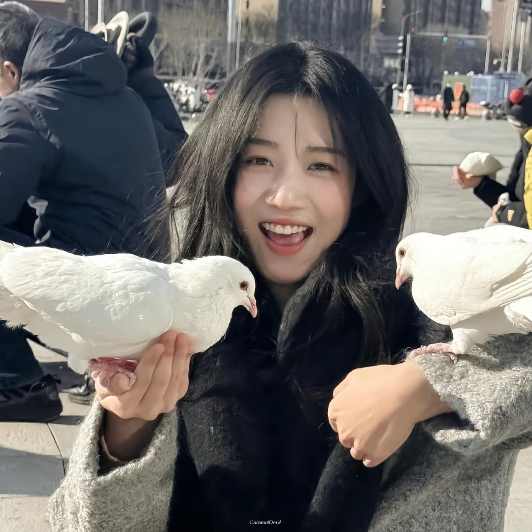 炸毛小狮子