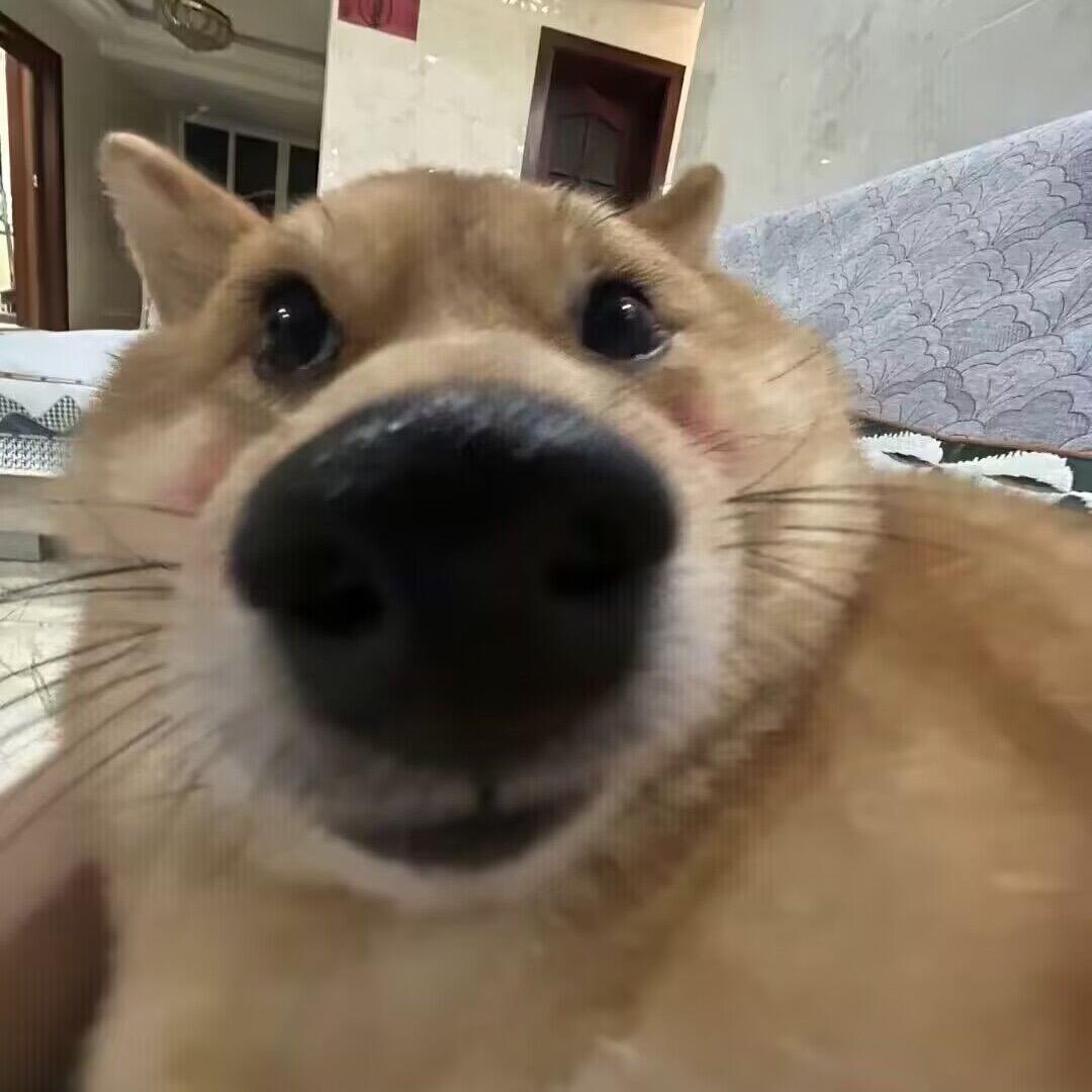 每天纠结吃什么