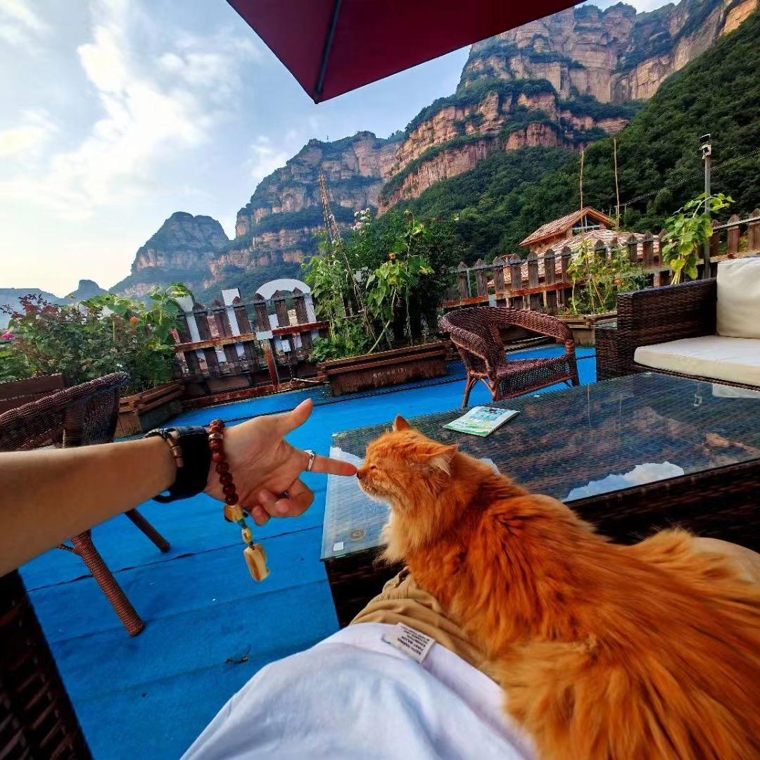 那儿吧车队总会